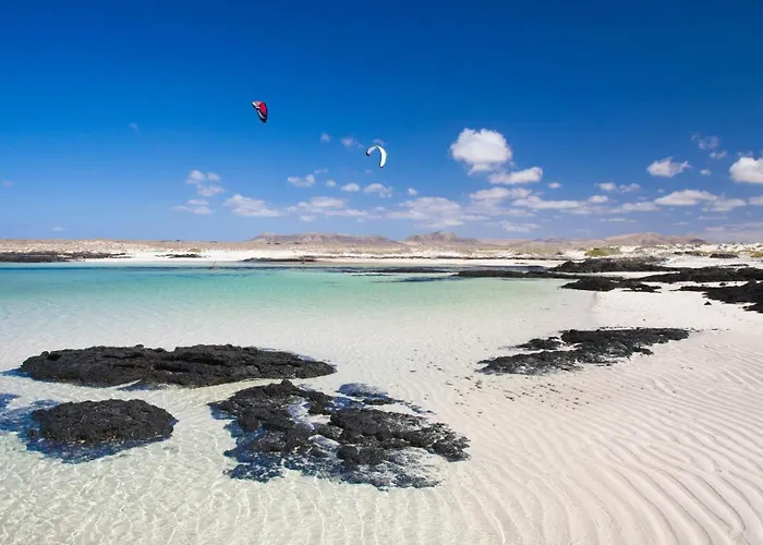 Daire Colibri Dorado