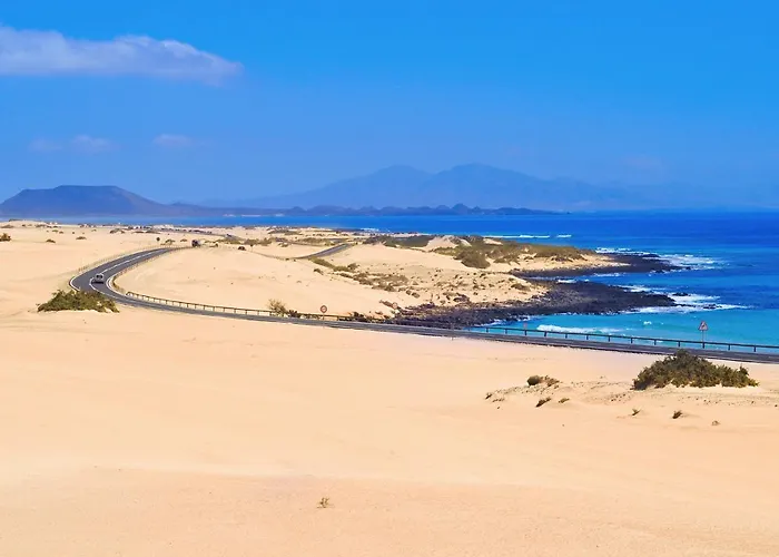 Colibri Dorado * Lajares