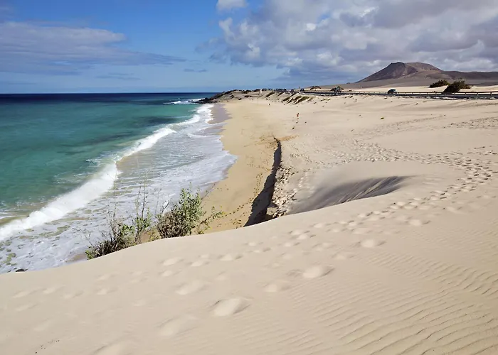 Colibri Dorado Daire