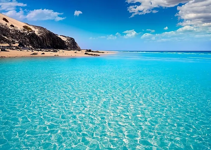 Colibri Dorado Daire Lajares