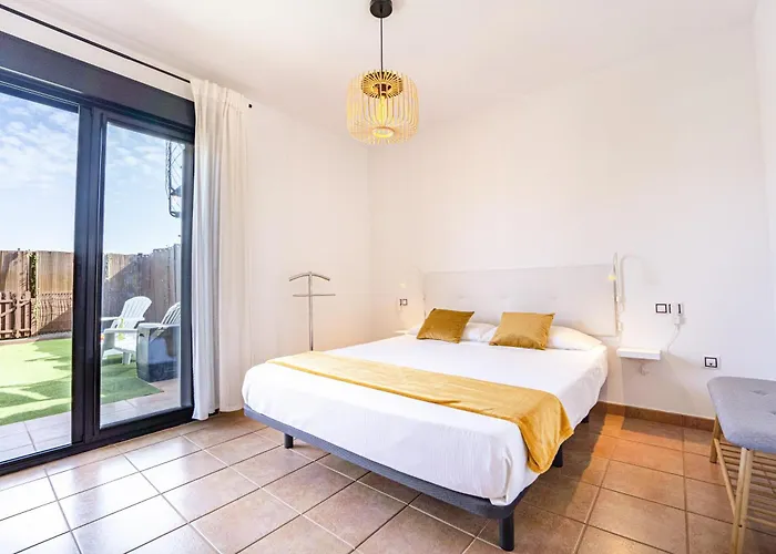 Daire Colibri Dorado