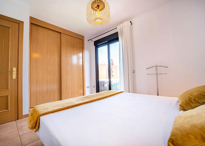 Daire Colibri Dorado *