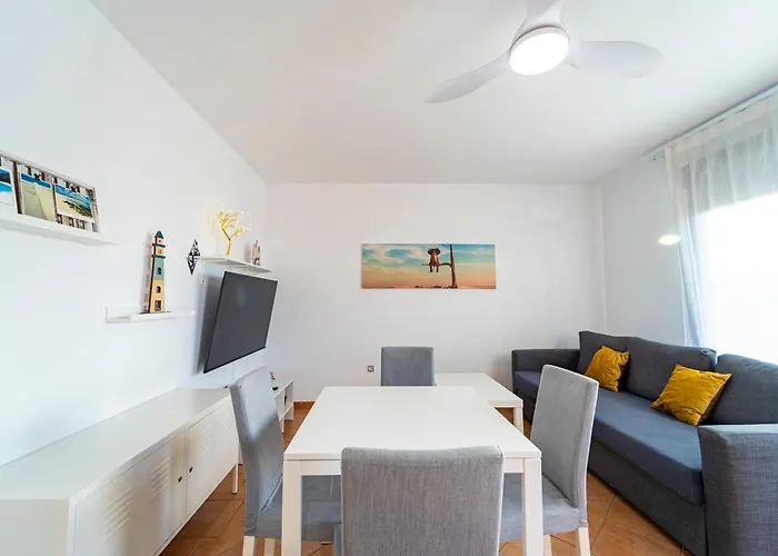 Colibri Dorado Daire Lajares