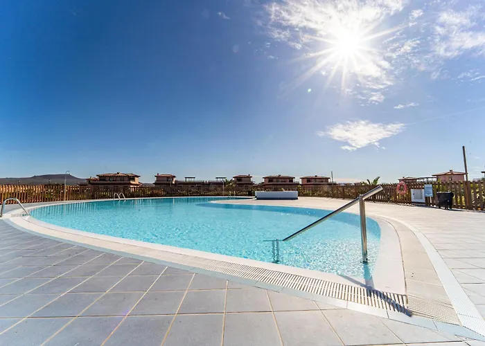 Daire Colibri Dorado