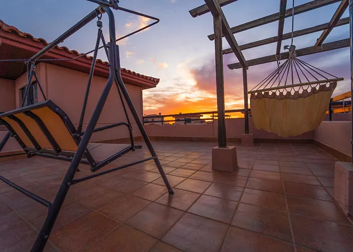 Colibri Dorado Daire