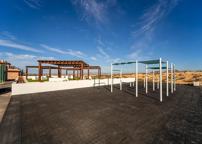 Daire Colibri Dorado *