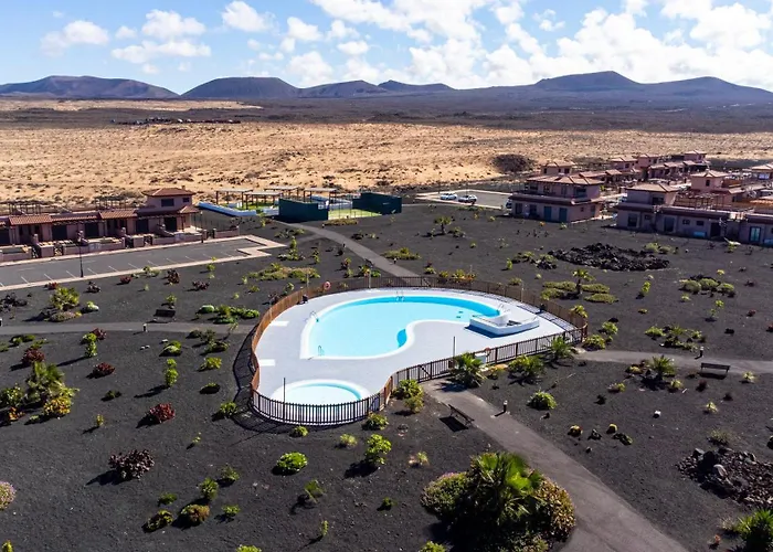 Daire Colibri Dorado