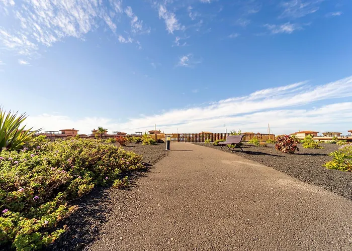 Daire Colibri Dorado