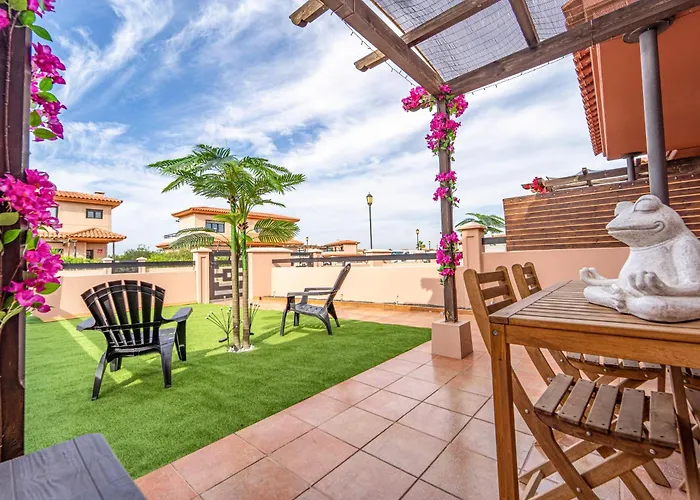 Colibri Dorado Daire