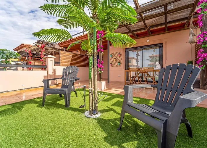 Colibri Dorado Daire *